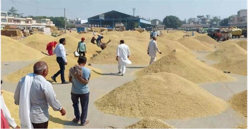 Photo of गोहाना अनाज मंडी में धान के भाव में आई तेजी,  किसानों में खुशी की लहर