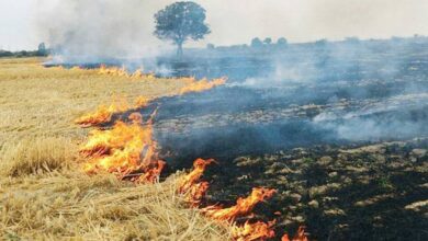 पराली जलाने से बिगड़ी बठिंडा की आबोहवा, AQI 'खराब' श्रेणी में किया गया दर्ज