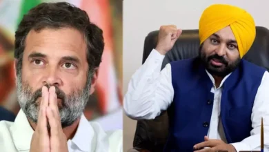 लोकसभा चुनाव से पहले भगवंत सिंह मान ने कांग्रेस को फटकारा, राहुल को लेकर कही यह बात