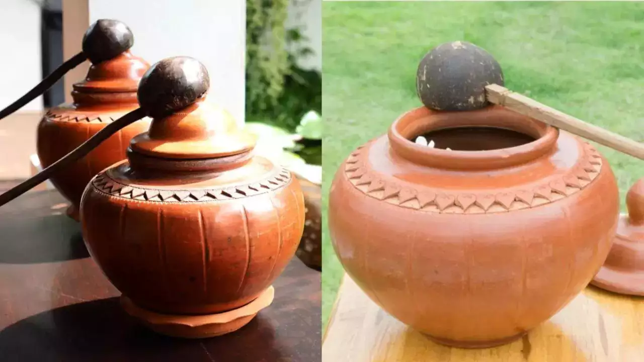 फ्रिज में ज्यादा मटके का पानी सेहत के लिए क्यों माना जाता है फायदेमंद