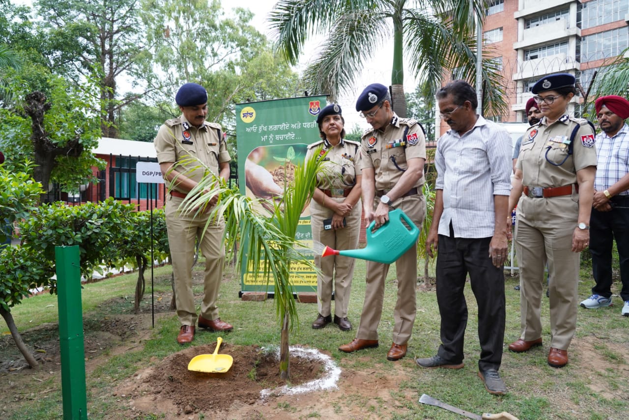 पंजाब पुलिस ने मानसून के स्वागत में शुरू किया पौधारोपण अभियान, डीजीपी पंजाब ने पंजाब पुलिस मुख्यालय में लगाया 'बॉटल पाम' का पौधा