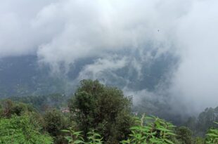 Flood warning in four districts of Himachal Pradesh, heavy rain alert till August 20