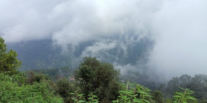 Flood warning in four districts of Himachal Pradesh, heavy rain alert till August 20