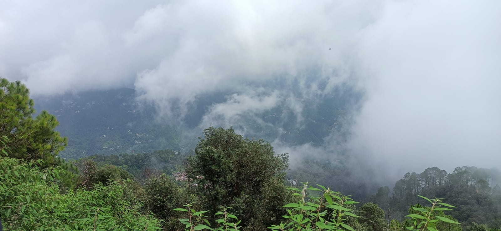 Photo of हिमाचल प्रदेश के चार जिलों में बाढ़ की चेतावनी, 20 अगस्त तक भारी बारिश का अलर्ट