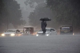 So far, an average rainfall of 880.7 mm has been recorded in Chhattisgarh