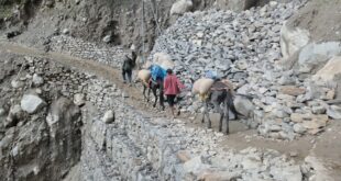 Kedarnath: More than 11 lakh devotees attended Baba's court, the pilgrimage picked up pace again