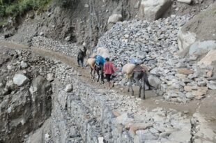 Kedarnath: More than 11 lakh devotees attended Baba's court, the pilgrimage picked up pace again