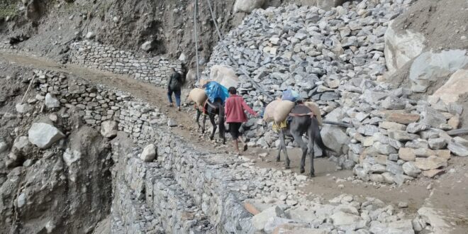 Kedarnath: More than 11 lakh devotees attended Baba's court, the pilgrimage picked up pace again