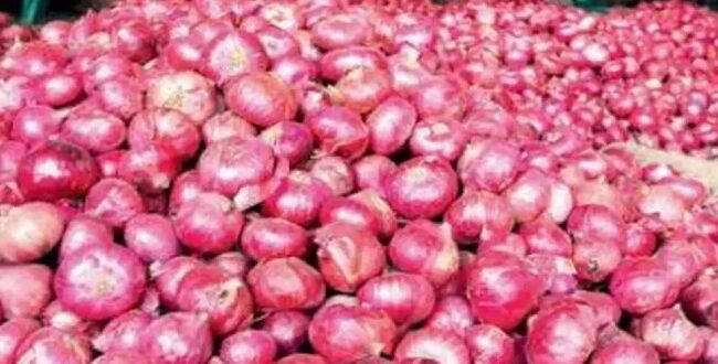 The government's retail sale of onion at subsidized rates has led to a drop in prices