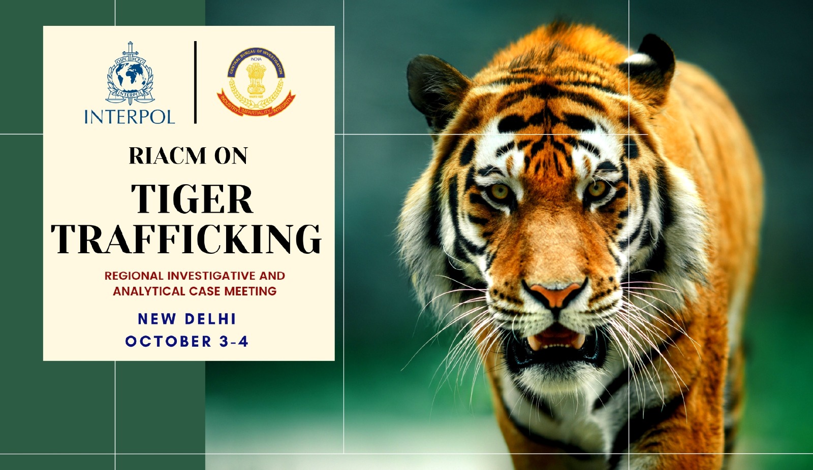 Two-day meeting started in Delhi to stop smuggling of tigers and lions from India-Nepal border.