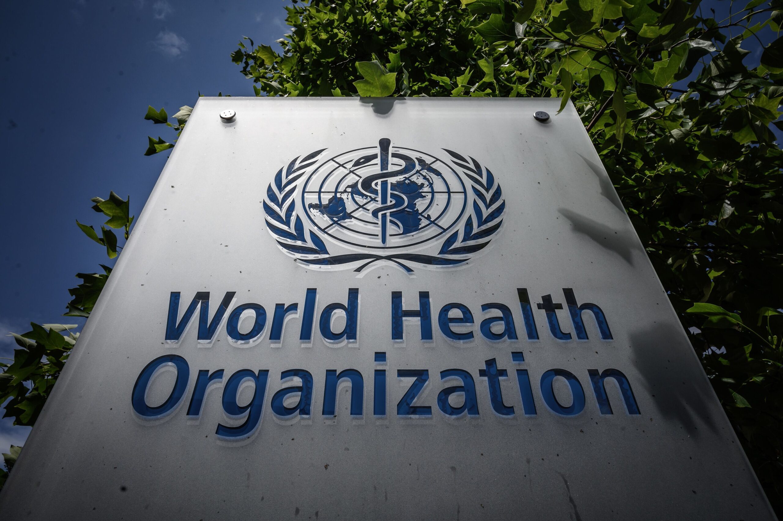 WHO chief warns: The next pandemic is certain