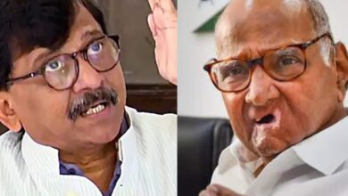 Sharad Pawar gave advice on 'Barat' statement