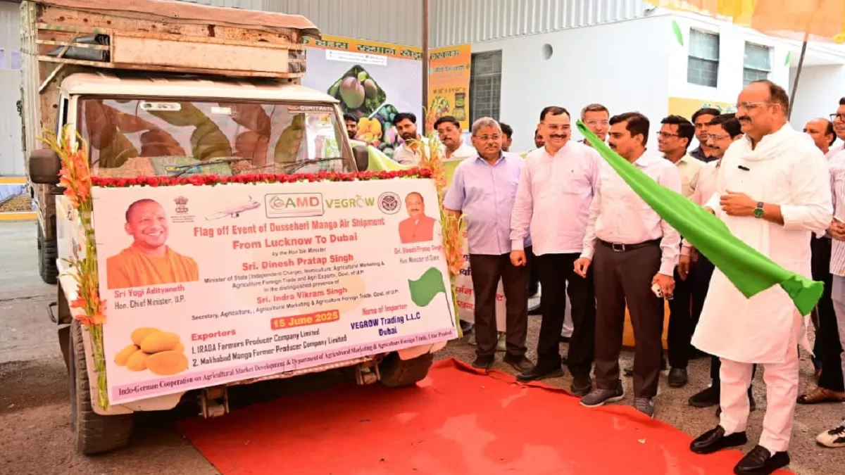 First consignment of Dussehri mango leaves for Dubai, export order to FPO