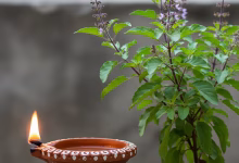 Tulsi Mantra: Chant this mantra on Thursday, you will never face shortage of money