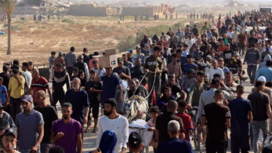 800 Palestinians killed in Gaza, Israeli firing causes chaos