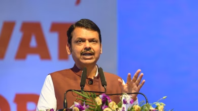 'Message through kicks and punches?' Fadnavis's big statement, creates political uproar