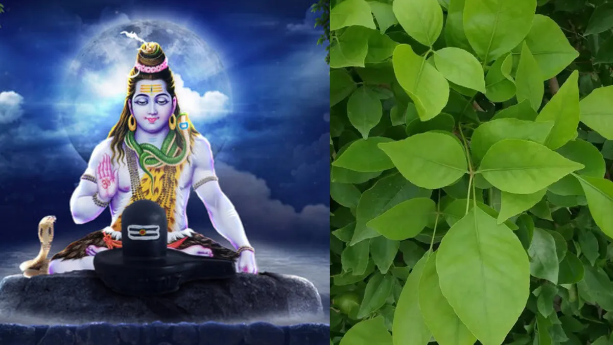 Sawan 2025: Why is Belpatra dear to Mahadev?