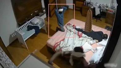 Theft in retired judge's house in Indore, son kept sleeping; thief's act captured in CCTV