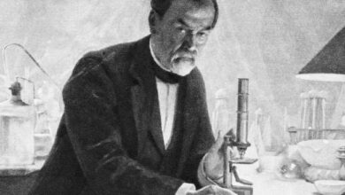 Louis Pasteur: Great Contribution to Science