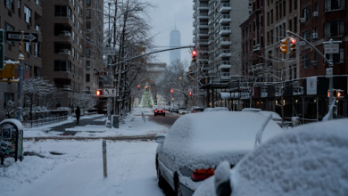 Snowstorm affects flights in the US